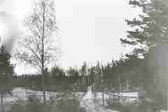 gubbkarret_1917_10009435